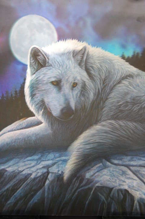 Wolf auf Fels von Lisa Parker
