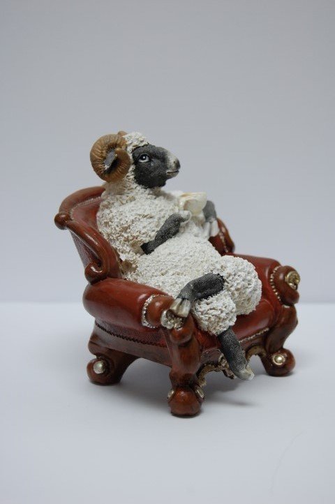 Schaf Dolly auf Sessel