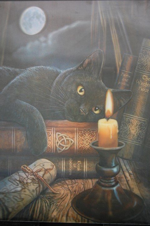 Katze -Kerze - von Lisa Parker