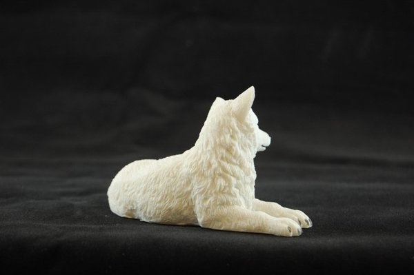 Kleiner weißer Wolf