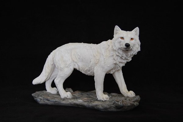 weißer Wolf Mountain Watcher